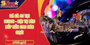 Đá Gà C1 Tại ST666