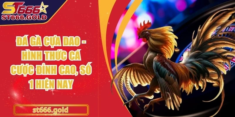 Đá Gà Cựa Dao