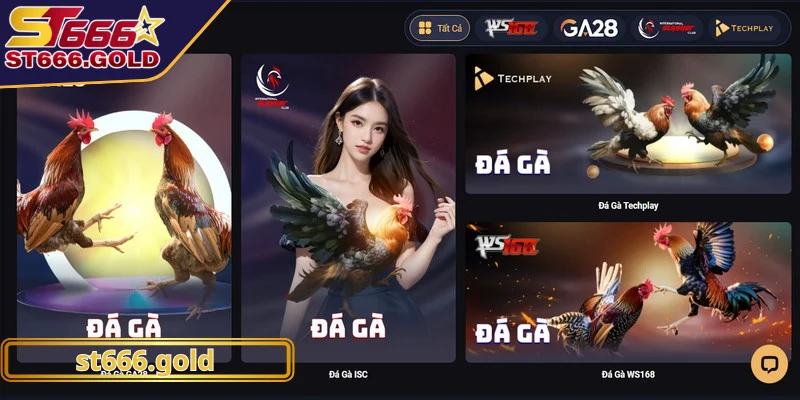 Đá gà ST666 mang đến một môi trường giải trí an toàn và tiện lợi